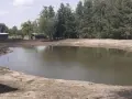 Ile kosztuje wykopanie stawu? Sprawdź, co wpływa na cenę!