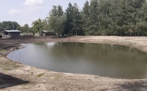 Ile kosztuje wykopanie stawu? Sprawdź, co wpływa na cenę!