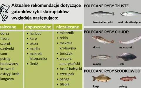 Jakie ryby morskie mają najmniej ości? Wybierz bezpieczne!