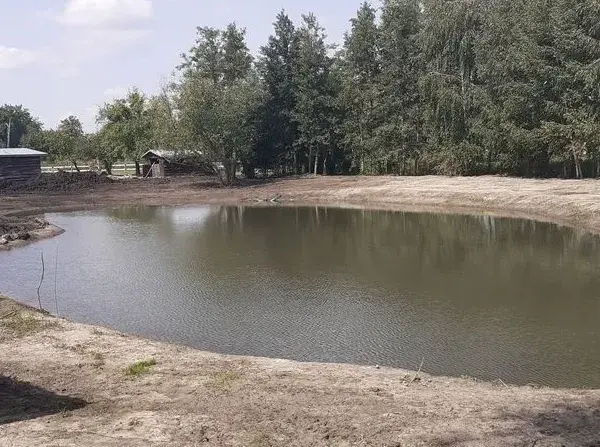 Ile kosztuje wykopanie stawu? Sprawdź, co wpływa na cenę!