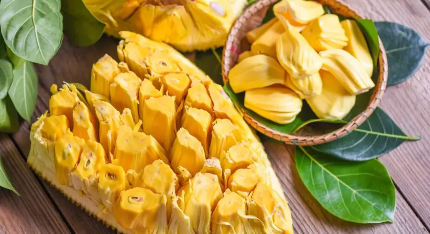 Chlebowiec właściwości: soczyste, żółte segmenty owocu jackfruit, częściowo wyjęte z łupiny i ułożone w koszyku, otoczone zielonymi liśćmi.